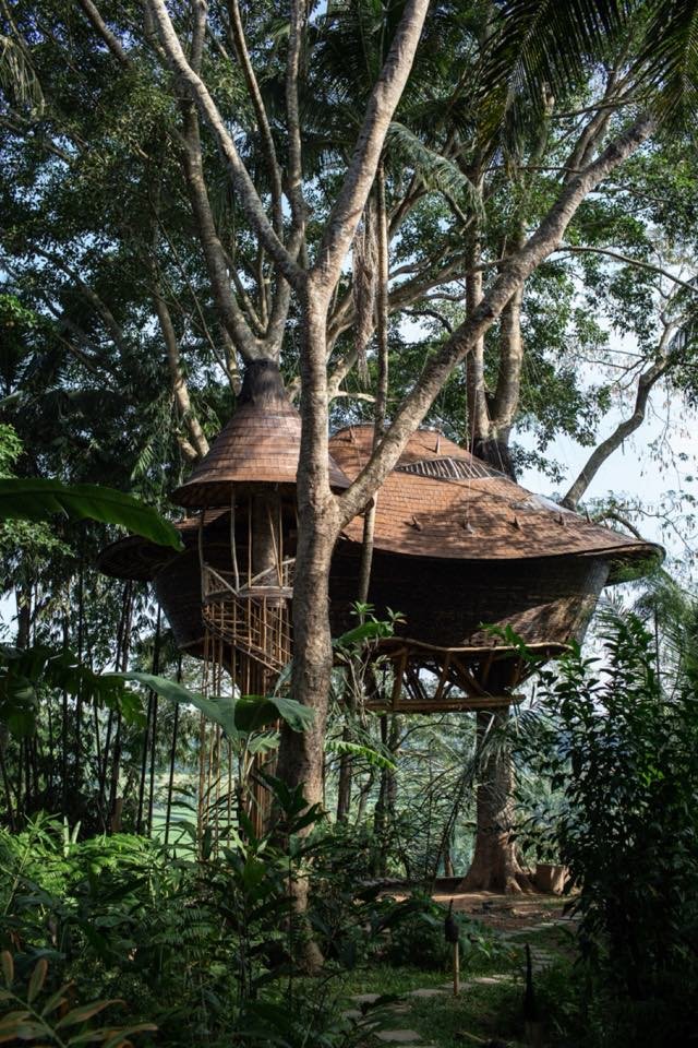 The treehouse at Bambu Indah among tall trees, its roof, the living deck and the bedroom